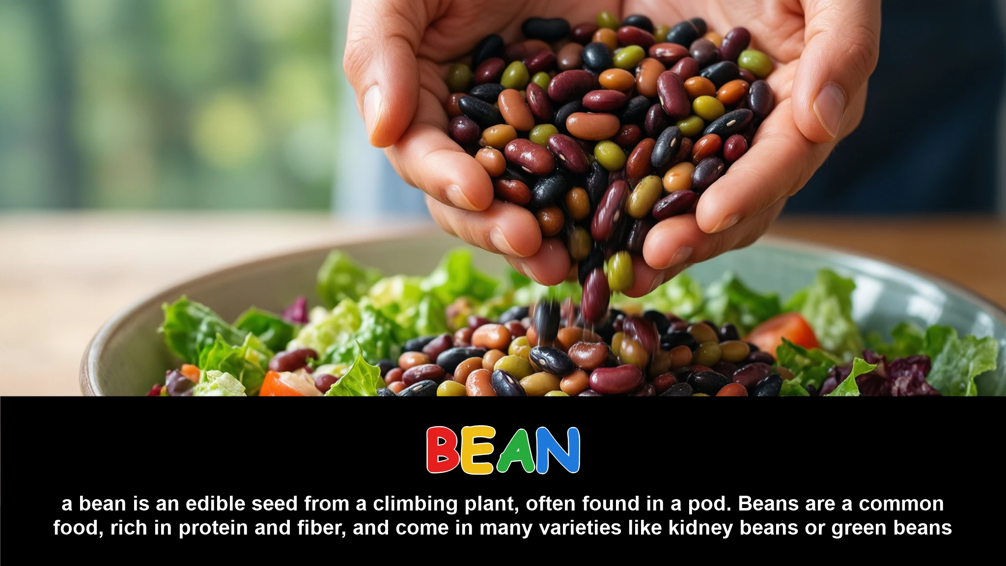 English Illustration for bean